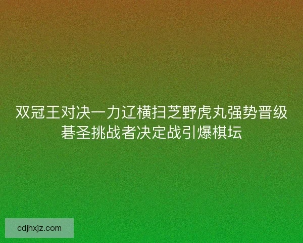 双冠王对决一力辽横扫芝野虎丸强势晋级碁圣挑战者决定战引爆棋坛