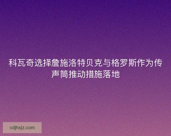 科瓦奇选择詹施洛特贝克与格罗斯作为传声筒推动措施落地