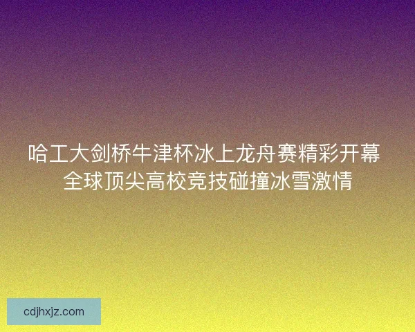 哈工大剑桥牛津杯冰上龙舟赛精彩开幕 全球顶尖高校竞技碰撞冰雪激情
